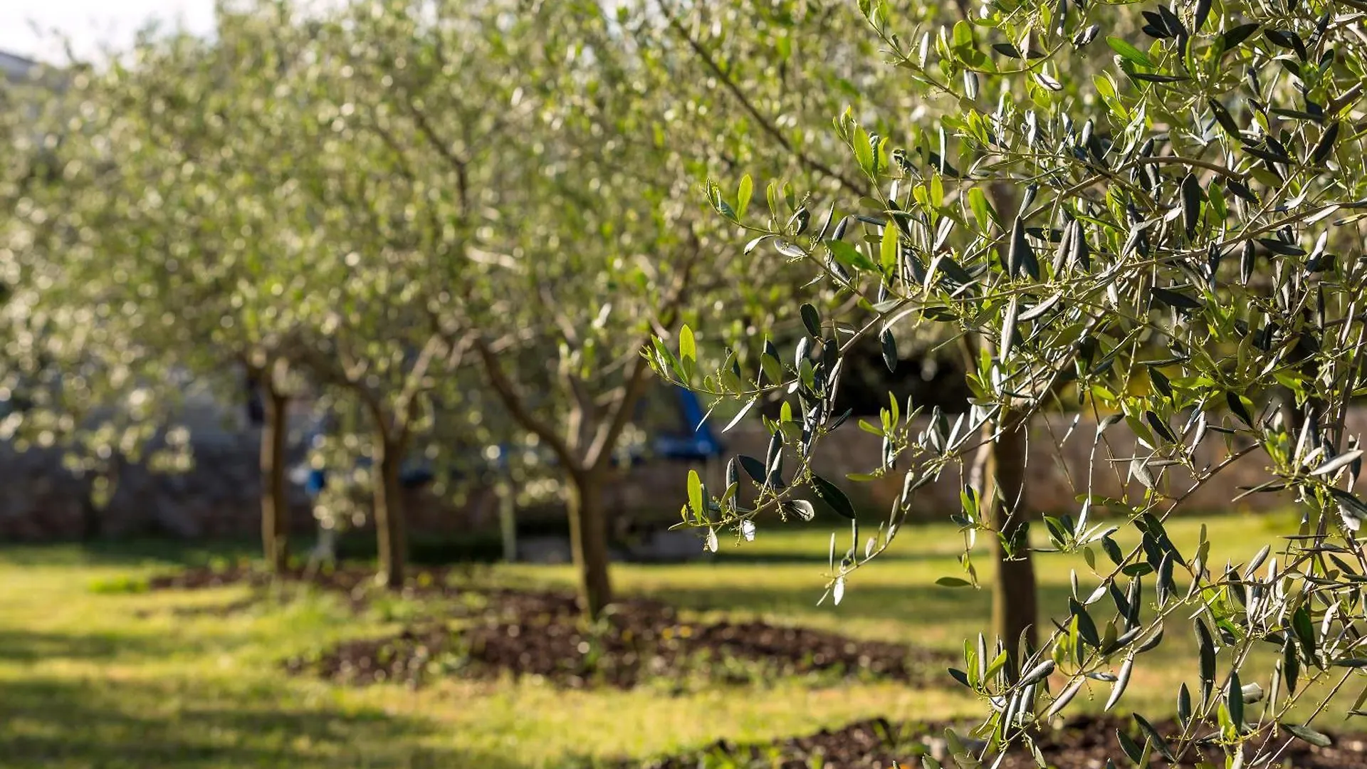 Holiday House Summer Breeze Pinezici  Pinezici (Krk)